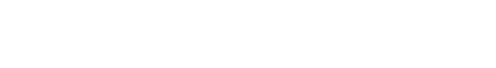 Flagship Strategies